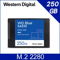 在飛比找蝦皮購物優惠-WD威騰 Blue 藍標 SA510 250GB 500GB