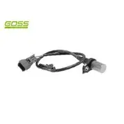 RAE Crankshaft Position Sensor - SC184
