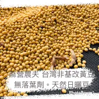 在飛比找蝦皮購物優惠-台灣非基改黃豆 高雄選10號 國產黃豆 2公斤 真空包 溯源