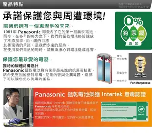 Panasonic 錳乾電池 1 號 2 入 (6.4折)