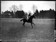 Gordon Richards on Voluntary Horse Racing Historic Old Photo