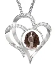 Springer Spaniel Silver Colour Heart Necklace And Diamante Pendant + Gift Box