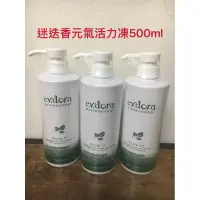 在飛比找蝦皮購物優惠-伊朵菈 迷迭香元氣活力凍500ml-現貨