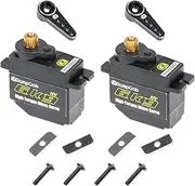 RampCrab 6kg Steering Servo with Servo Horn for SCX24 AX24, 2 Sets, RC Car Model Parts, Upgrade Parts for Axial AX24 SCX24 1/24 RC Crawler (Black Horn)