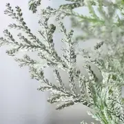 FROSTED CEDAR Fragrance Oil for making Candles, Soaps, Wax Melts etc.