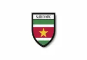 PATCH PATCHES EMBLEM IRON ON GLUE PRINT FLAG world crest suriname