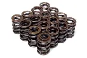 BLOX Racing 77LB Dual Valve Springs for Honda Acura B18A B18B B20 NON VTEC