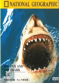 在飛比找博客來優惠-國家地理頻道(051)鯊魚DVD