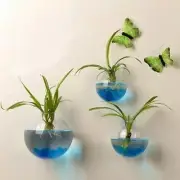 Wall Mounted Fish Tank Bowl Bubble Aquarium Hanging hot. Goldfish Terrarium Y9M9
