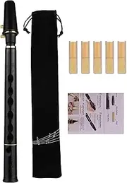 Pocket Sax - 8-Hole C Key Portable Saxophone | Compact Practice Tool for Beginner, Easy to Play Woodwind Instrument, Includes Reeds and Carrying Bag