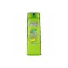 Garnier Fructis 2-in-1 Shampoo & Conditioner Clean and Fresh 12.5 Oz Pack of 12
