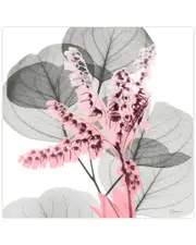 Empire Art Direct Eucalyptus Bush 1 by Albert Koetsier Wall Art