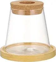 TOYANDONA Glass Hydroponic Vase with Lid Elegant Desktop Planter for Indoor Plant Propagation Container for Bookshelves and Table Decoration Versatile Plant Holder for Home and Office Use