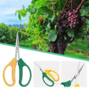Garden Bud Trimming Leaf Snips Scissors Straight Razor Sharp HYDROPONICS Pruning