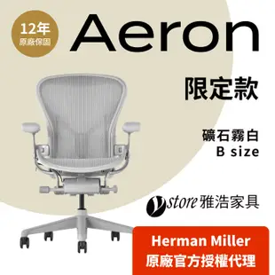 【Ystore雅浩家具】Herman Miller｜Aeron 限定款_B尺寸