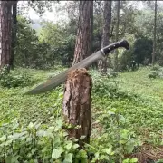 Custom Handmade Carbon Steel Blade Mustang Machete Sword|Hunting Sword Camping