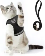 Cat Harness and Leash Set for Walking Escape Proof Small Cat and Dog Harness