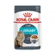 ROYAL CANIN 法國皇家 FCNW貓主食濕糧 泌尿保健 UC33W