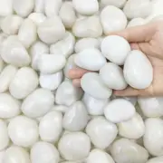 5 Lbs White River Rocks, Polished Pebbles for Indoor Plants, 1-2 Inch Decorative