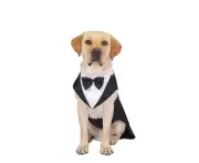 Pet Dog Wedding Suit Tuxedo, Dog Tuxedo And Bandana Suit, Dog Tuxedo Wedding Party Suit