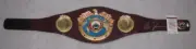 MIKE TYSON Hand Signed WBO Fullsize Belt + JSA COA "BUY GENUINE'