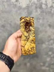 Stabilised Spalted Tamarind Woodworking Craft Timber #65