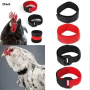 2X Cockerel Rooster Quiet No Crow Anti Noise Band Collar Neck Poultry Y5P black Ordinary