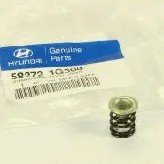GENUINE BRAND NEW HYUNDAI ACCENT 2005-2009 SPRING-SHOE HOLD DOWN ABS (for: Hyundai)