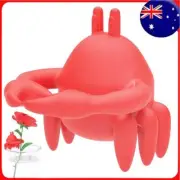 Plant Propagation Buddy-Baby Crab Plant Supports Leaf Buddy Plant Support