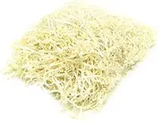Ipetboom Crinkle Cut Raffia Silk Paper 100g Perfect Basket Box Filler Soft Milk White