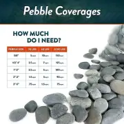 20 Lbs. Mexican Beach Pebbles Smooth Stones Hand Picked Landscape & Garden