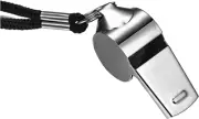 5 Pack Metal Whistle,Yenghome Stainless Steel Super Loud Sports Whistle Perfe...