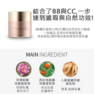 DEOPROCE韓國 多重功能性DD霜(BB霜+CC霜)40g 完美色彩CC霜 黑爵士新款3件組盒裝 40G*5G2A