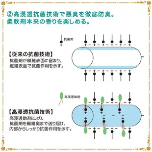 熊寶貝 fafa繪本系列 洗衣精 / 柔軟精 【樂購RAGO】 日本製