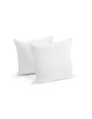 NNEKGE Set of 2 Microfibre European Pillows