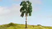 Model Scenery - 20141 - Pine Tree, 18cm tall