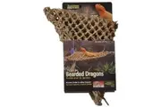Natural Lizard Loungers - Small Corner (27x20cm) (REP700)