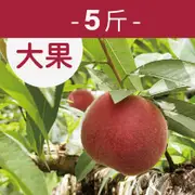 丸爺爺農場 紅玉桃5斤/箱(大果)