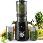 Cold Press Juicer 1.25'', 250W Masticating Juicer Machine Large Feed Chute Fit W