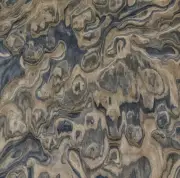 Walnut Burl composite wood veneer 24" x 48" raw no backer 1/42" thickness # 1215