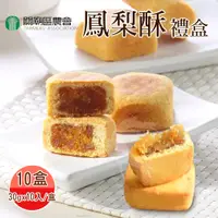 在飛比找鮮拾優惠-【關廟農會】鳳梨酥禮盒x10盒(30gx10入/盒；附提袋)