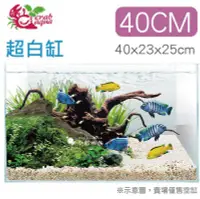 在飛比找Yahoo!奇摩拍賣優惠-小郭水族-UP小螃蟹系列【超白魚缸40cm（40x23x25