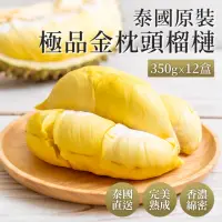 在飛比找momo購物網優惠-【榴槤大爺】泰國極品金枕頭榴槤350克x12盒(原裝進口)