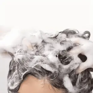 ViveLab Anti Hair Loss Scalp Shampoo 300ml 防脫髮洗髮水