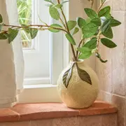 Lumen Fruit Vase [MUSHLUMVW25]