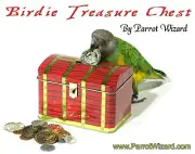 Birdie Treasure Chest - Parrot Fetch Training Prop With Plastic Coins Included