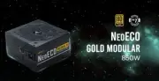Antec NE 850w 80+ Gold Fully-Modular LLC DC 1x EPS 8PIN 120mm Silent Fan ATX PSU