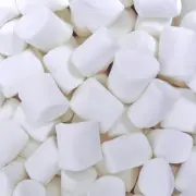 White Marshmallows bulk 800g Bulk Bag Halal #6