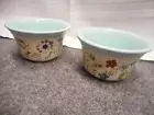 The Pioneer Woman Ramekin Dessert Bowls Set of 2 `NEW` Blue Floral