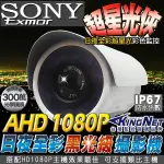 黑光 監視器 日夜全彩 星光級 300萬 SONY EXMOR AHD 1080P 防水攝影機